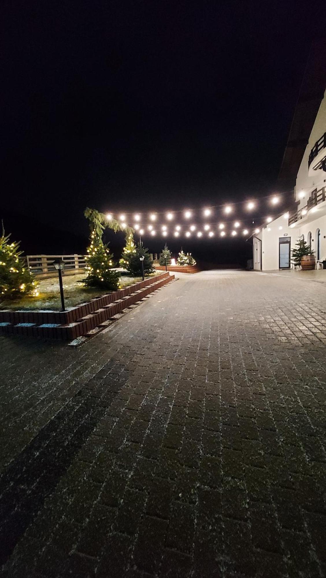 Hotel Evenimente Edelweiss Bogdan Vodă Exterior foto